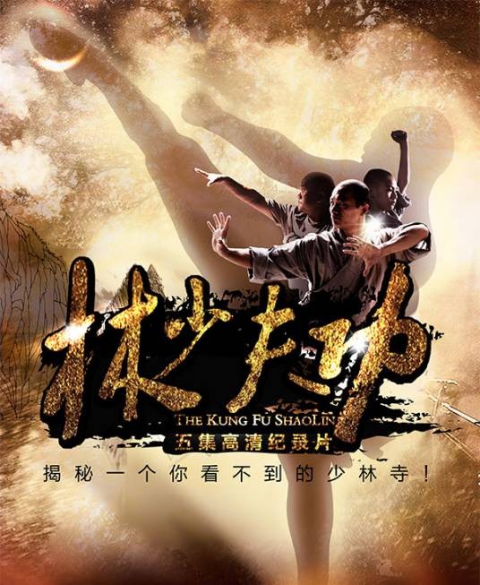 功夫少林(2016年肖崴执导的纪录片)