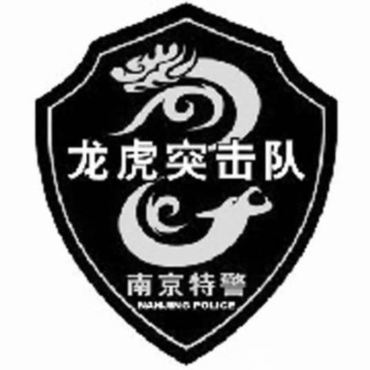 龙虎突击队