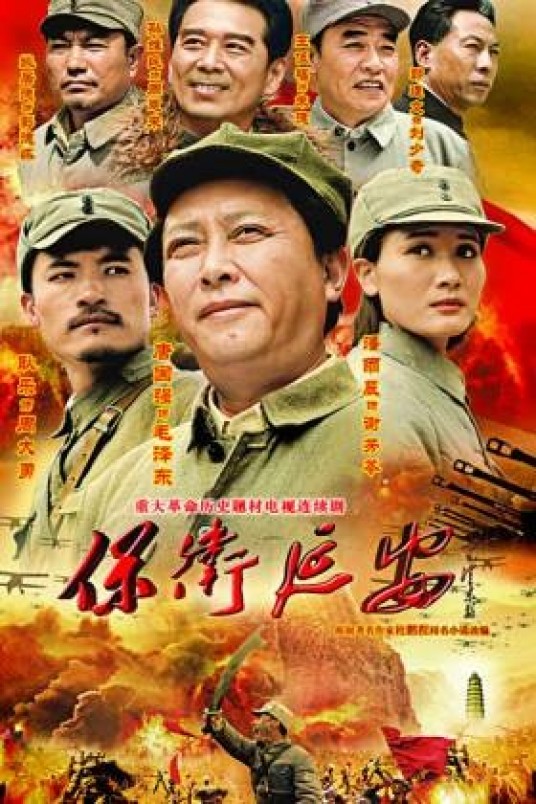 保卫延安(2009年唐国强主演的电视剧)