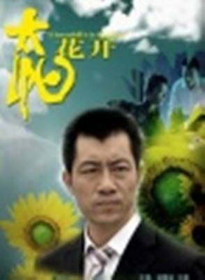 太阳花开(2007年吴祖云执导电影)