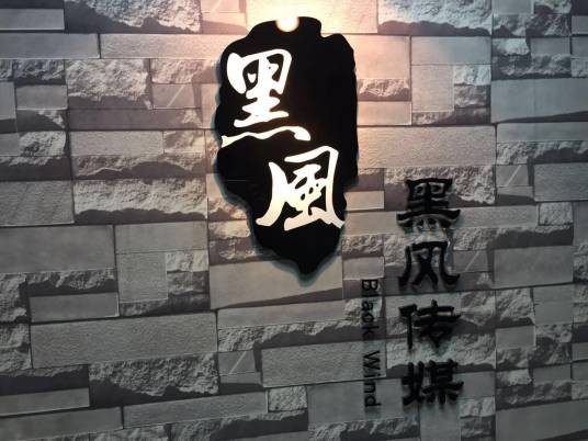 傲雪无双