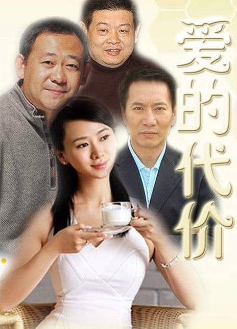 爱的代价(2005年张辉执导的电视剧)