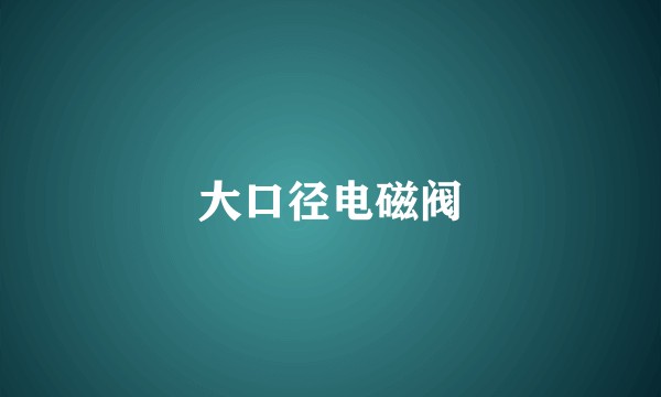 大口径电磁阀
