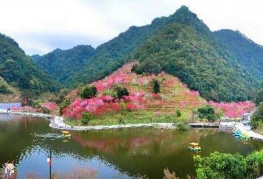 北溪(福建省九龙江的主要支流)