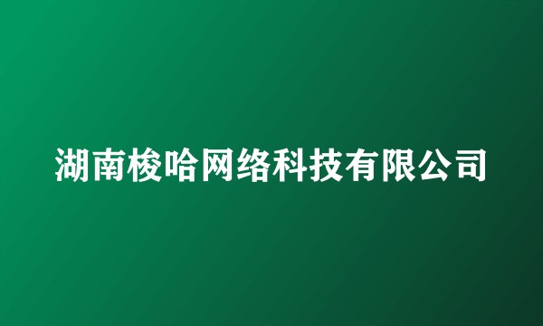 湖南梭哈网络科技有限公司