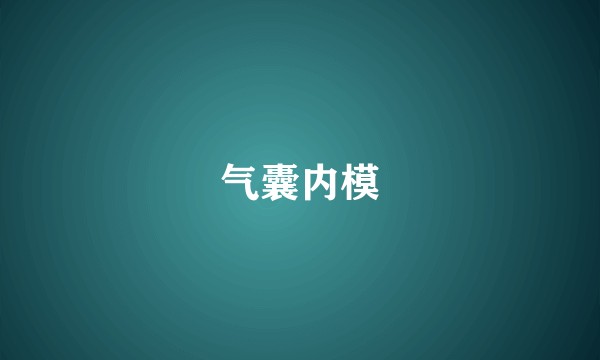气囊内模