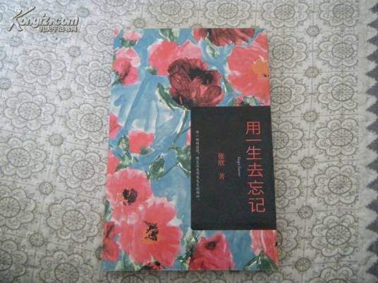 用一生去忘记（2008年作家出版社出版的图书）