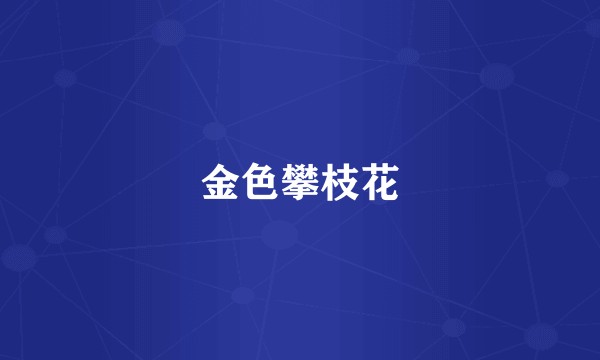 金色攀枝花