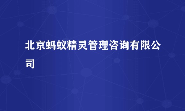 北京蚂蚁精灵管理咨询有限公司