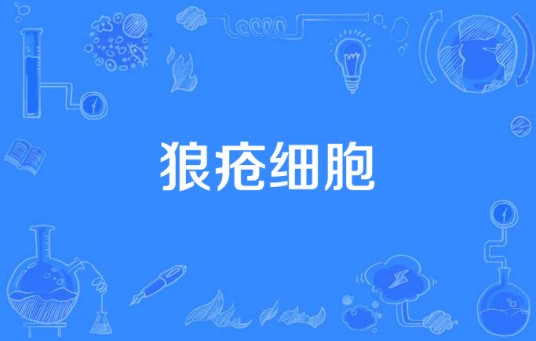 狼疮细胞
