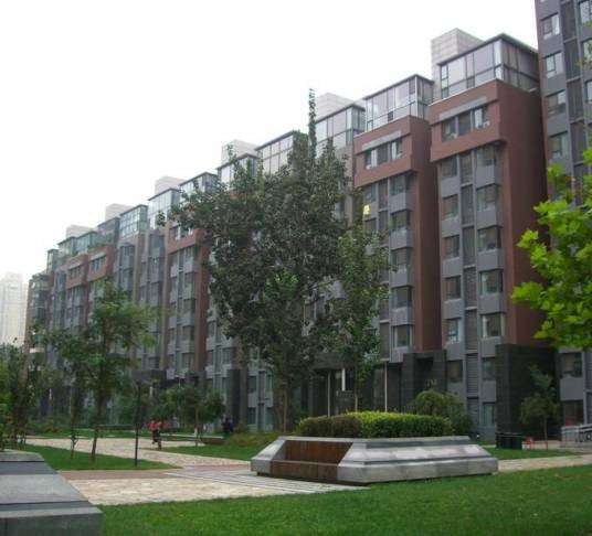 爱这城