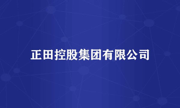 正田控股集团有限公司