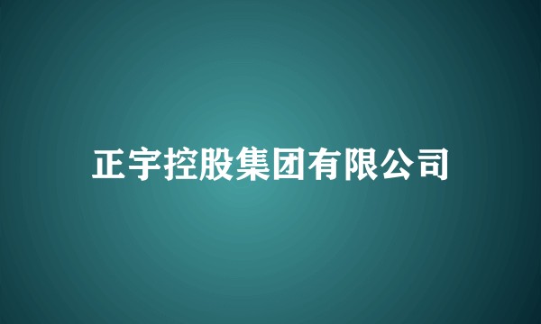 正宇控股集团有限公司