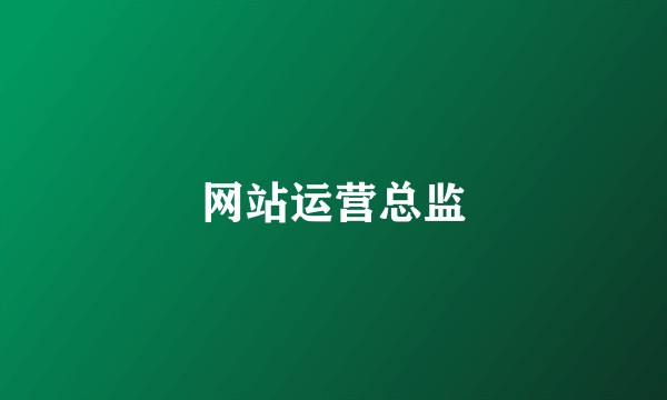 网站运营总监