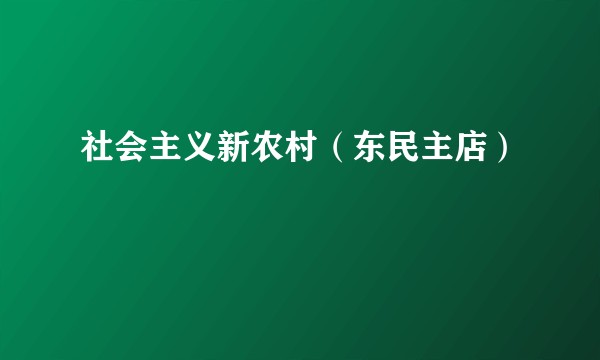 社会主义新农村（东民主店）