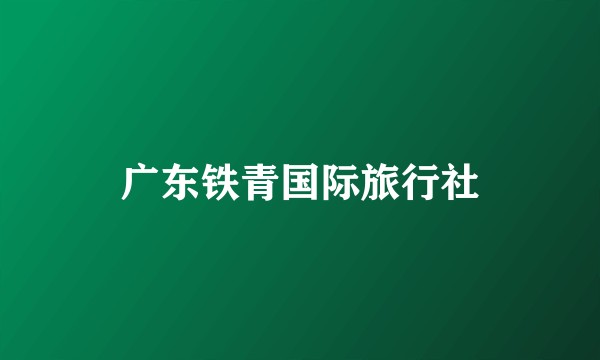 广东铁青国际旅行社