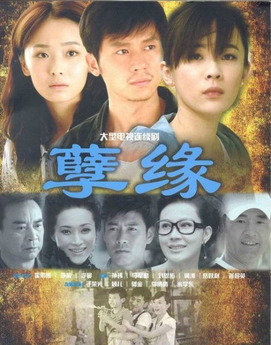 孽缘（2010年钟澍佳执导情感剧）