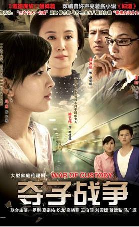 夺子战争（2008年彭军执导的电视剧）