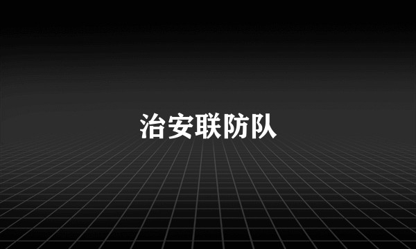 治安联防队