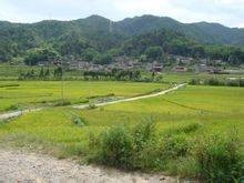 沙坝村(云南省保山市腾冲市腾越镇下辖村)