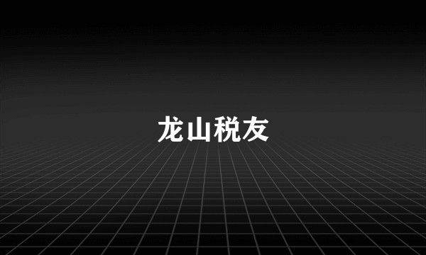 龙山税友