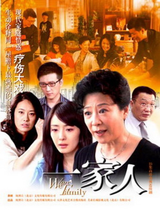 我们是一家人(2010年卫瀚韬执导的电视剧)