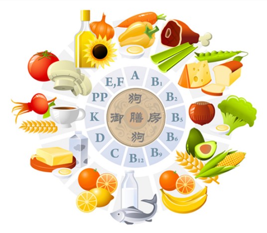 天然粮（猫粮的一种）