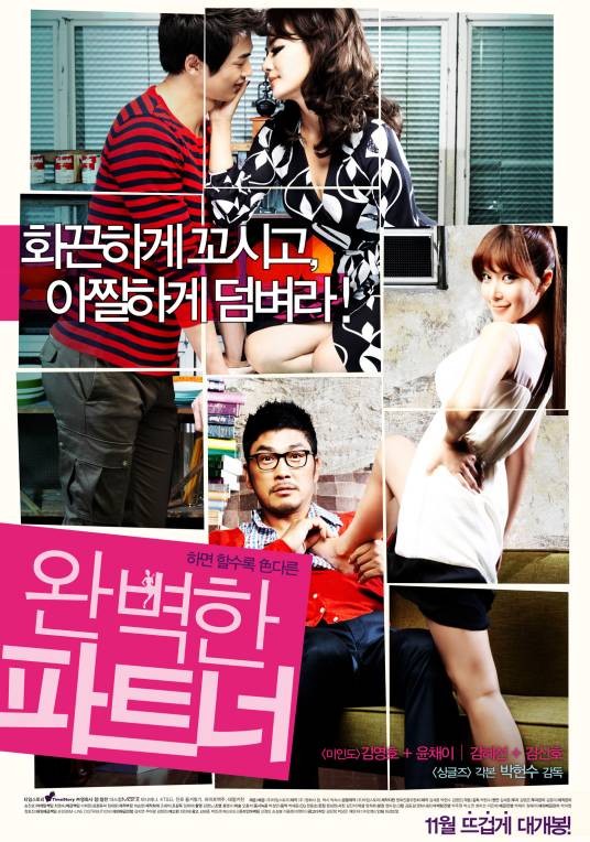 完美搭档（韩国2011年金英浩、金惠善主演的电影）