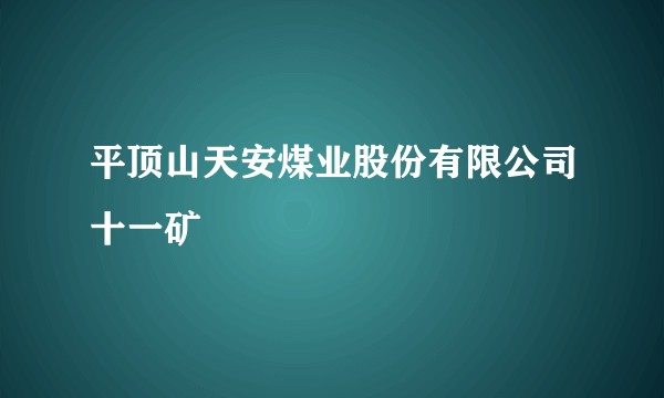 平顶山天安煤业股份有限公司十一矿