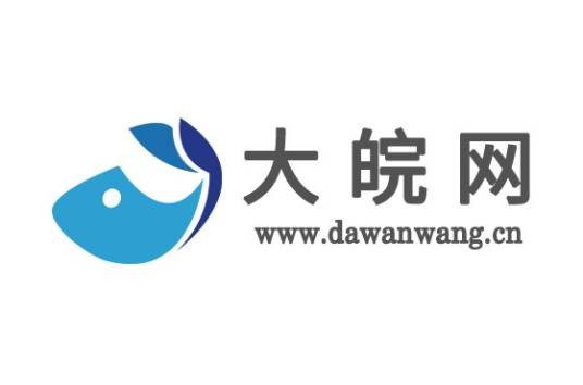大皖网