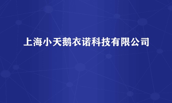 上海小天鹅衣诺科技有限公司