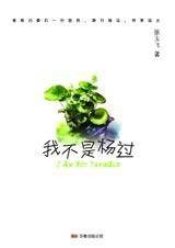 我不是杨过