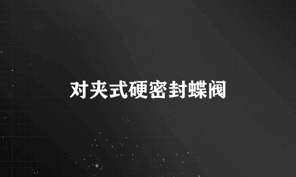 对夹式硬密封蝶阀