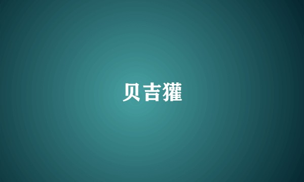 贝吉獾