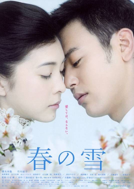 春之雪（日本2005年妻夫木聪、竹内结子主演的电影）