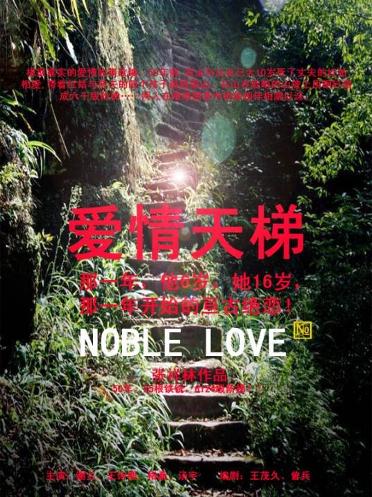 爱情天梯（2011年张详林执导电影）