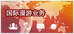 国际及港澳台漫游