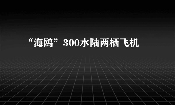 “海鸥”300水陆两栖飞机
