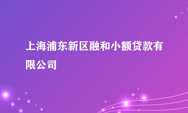 上海浦东新区融和小额贷款有限公司
