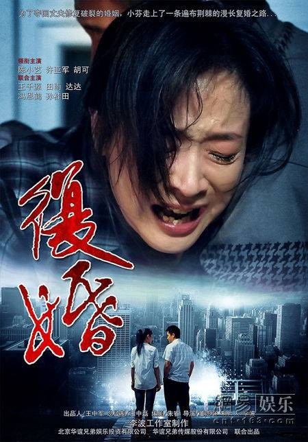 复婚(2010年陈小艺、许亚军主演电视剧)
