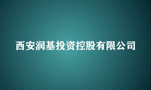 西安润基投资控股有限公司