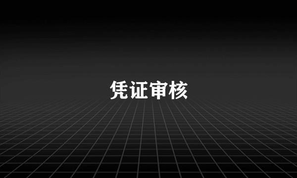 凭证审核