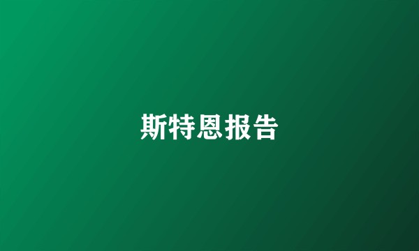 斯特恩报告