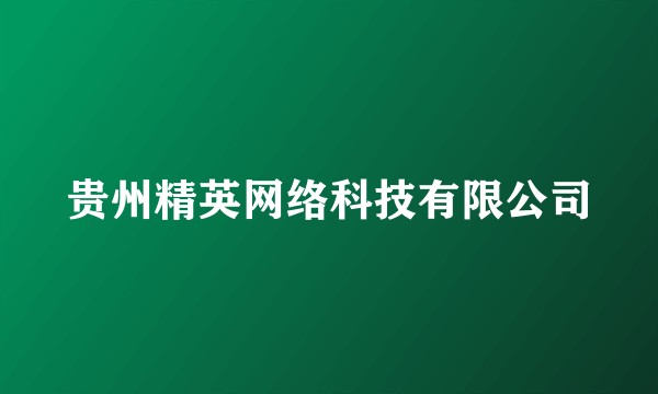 贵州精英网络科技有限公司