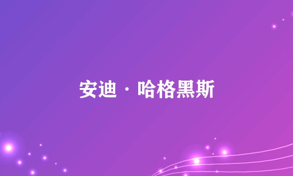 安迪·哈格黑斯