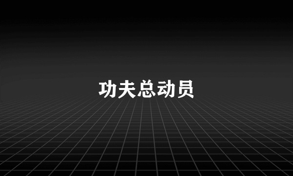 功夫总动员