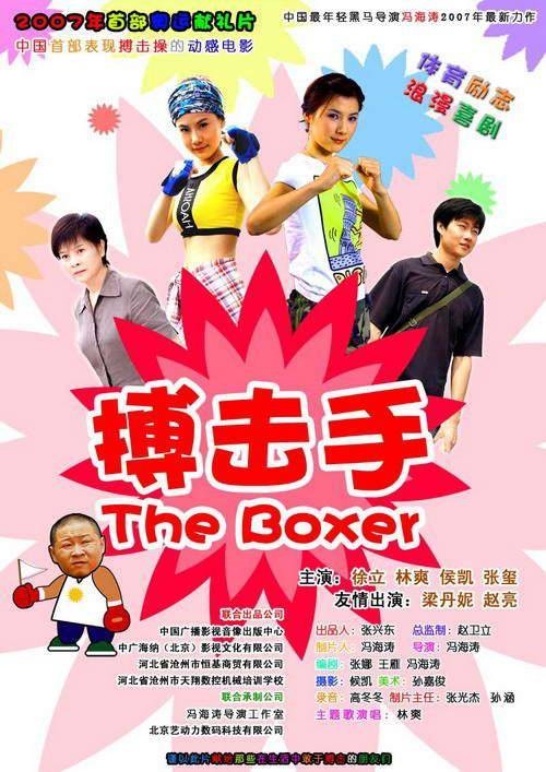 搏击手(2008年冯海涛执导的电影)