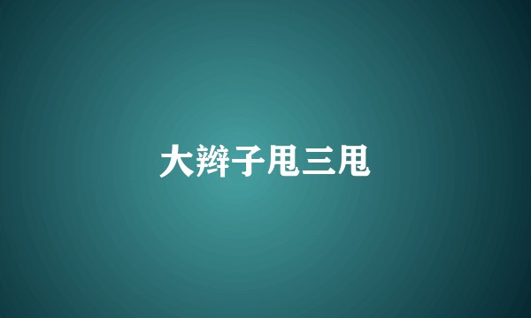 大辫子甩三甩