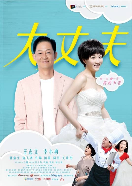 大丈夫（2014年王志文、李小冉主演的都市喜剧）
