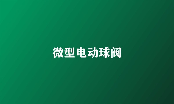 微型电动球阀
